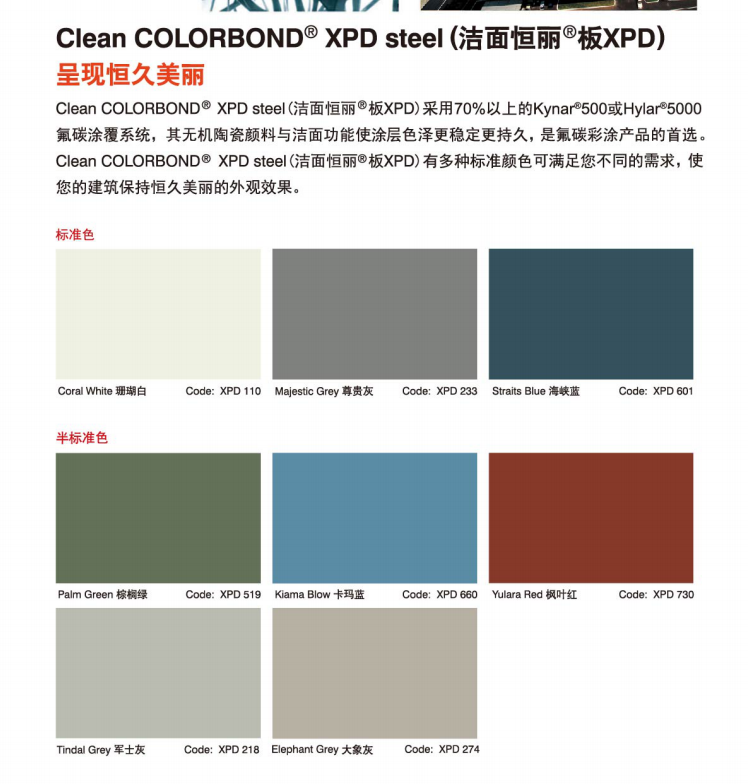 ��˼���������